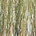 bear grass | 3form